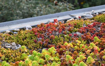 the cost of Hare Appletree green roof installation