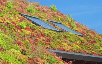 Hare Appletree living roof systems
