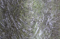 Hare Appletree fibreglass roof work